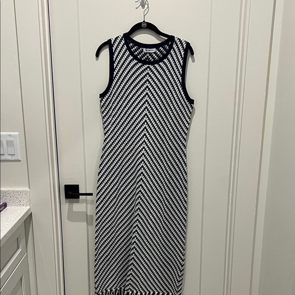 wenrine Dresses & Skirts - Navy and white knit dress with fringe on the bottom